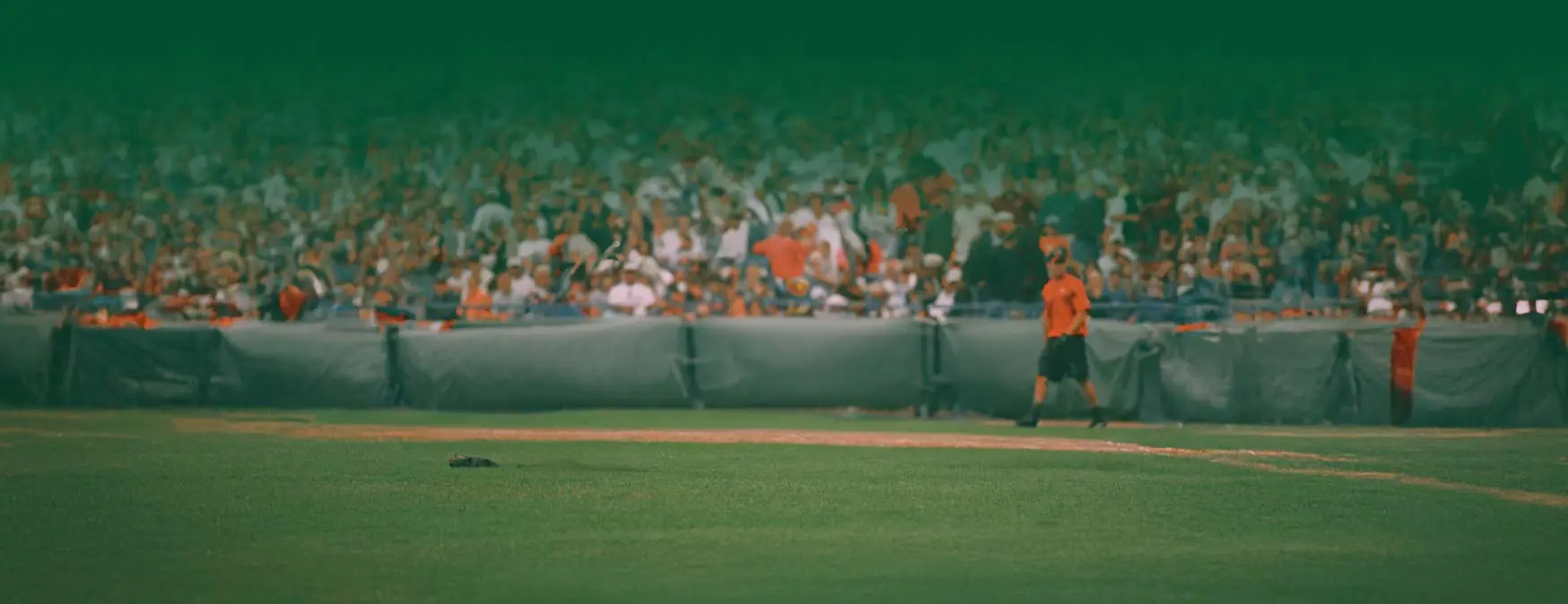Baseball field